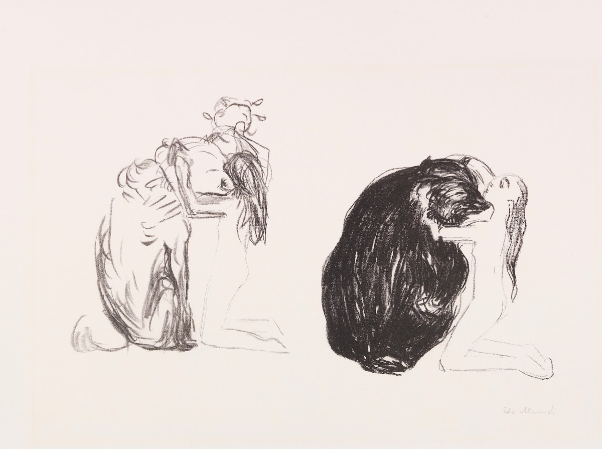 Bjørnen Der Bär 1908