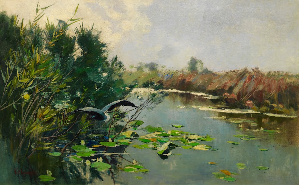Auffliegender Graureiher am Havelufer 1892