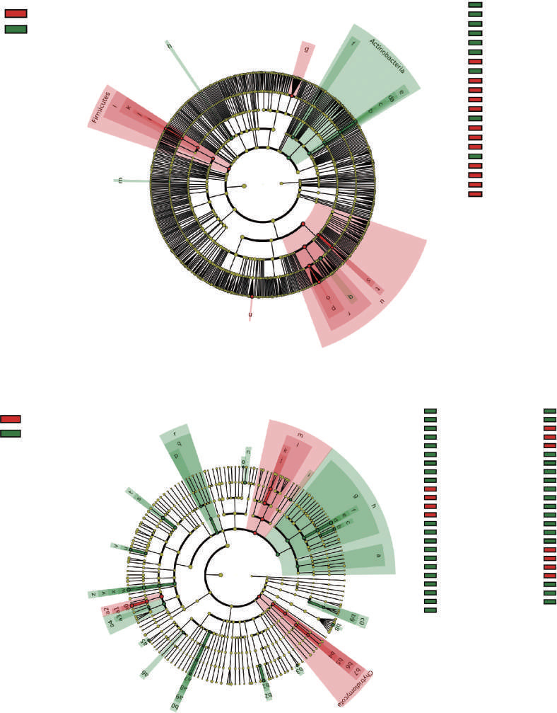 Influence of functionalized graphene on the bacterial and fungal diversity of Vicia faba rhizosphere soil