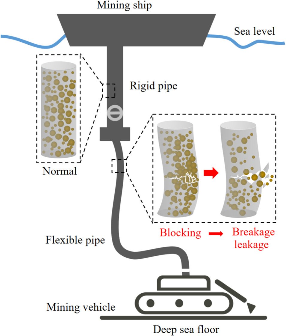 Sparse pipeline wall information-based data-driven reconstruction for solid–liquid two-phase flow in flexible vibrating pipelines