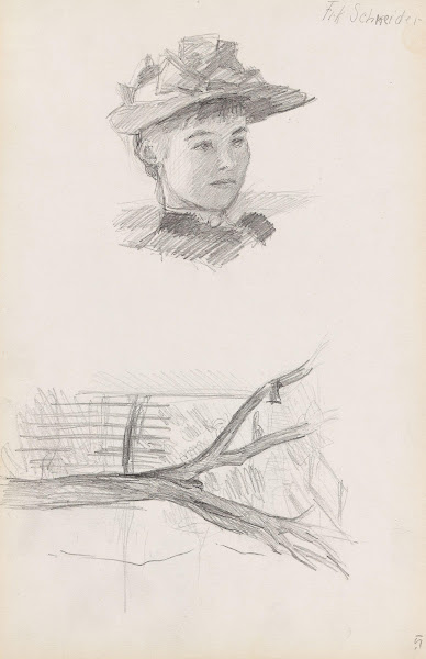 Frøken Schneider og trestudie 1892