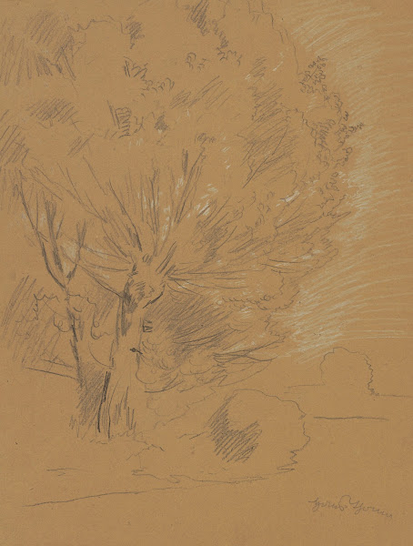 Study of willow 1880   1920