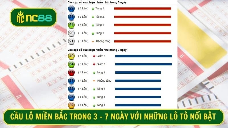 Cầu lô miền Bắc trong 3 - 7 ngày với những lô tô nổi bật 