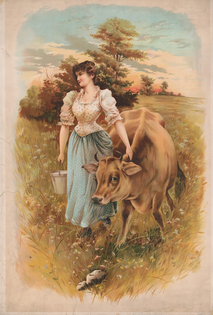 Gertrude  Lill 1893