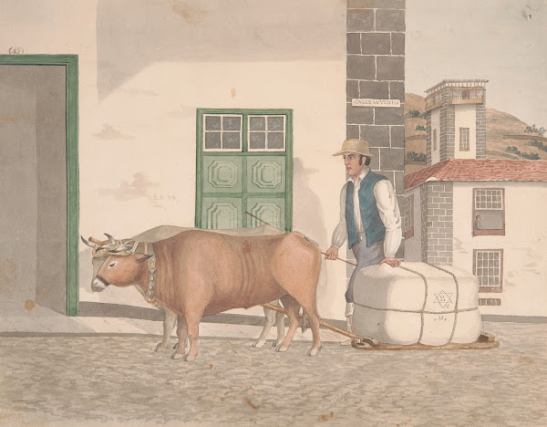 Ox sledge for the conveyance of merchandise ca 1828
