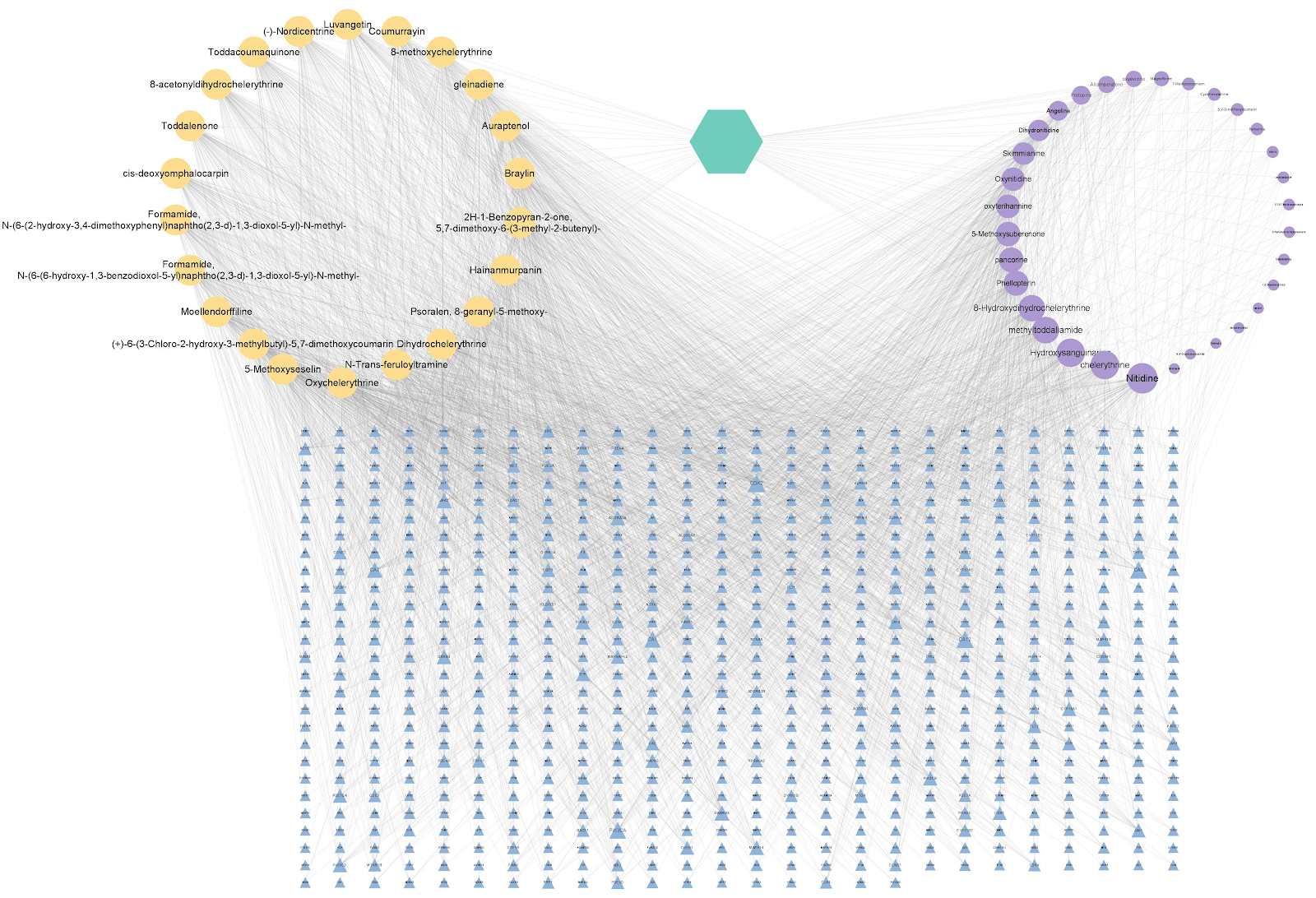 Molecular mechanisms of Toddalia asiatica against rheumatoid arthritis: bioinformatics and molecular dynamics simulation
