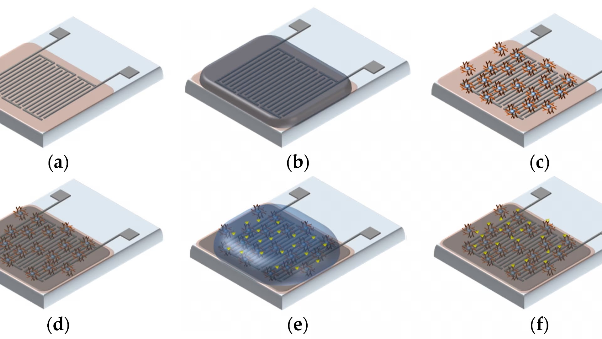 sensorsLab_research_BiosensorsLabOnChip.jpeg