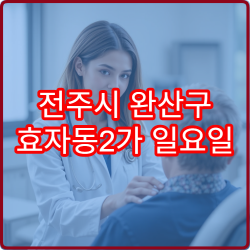 전주시 완산구 효자동2가 일요일 진료 내과 몸살 감기 증상 치료