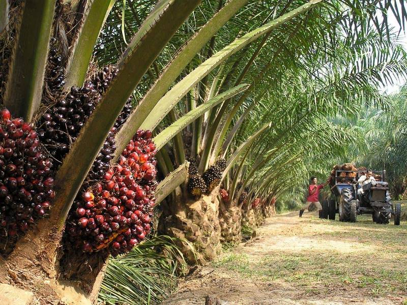 Chia sẻ vô cùng xuất sắc. Các bạn cùng đọc thử và follow FB bạn Nam. Từng câu ch