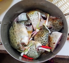 Chuẩn bị 1 cái nồi cho cá, đầu hành, ớt và tất cả gia vị vào ướp khoảng 15 phút. Sau đó để lên bếp bặt lửa lớn đến khi nước sôi, cho 0.5 chén nước vào và để lửa vừa sôi thêm lần nữa rồi tiếp tục để lửa nhỏ cho cá thắm từ từ. Cá gần cạn cho hành lá cắt khúc vào để khoảng 1 phút tắt bếp.