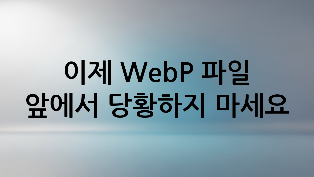 이제 WebP 파일 앞에서 당황하지 마세요