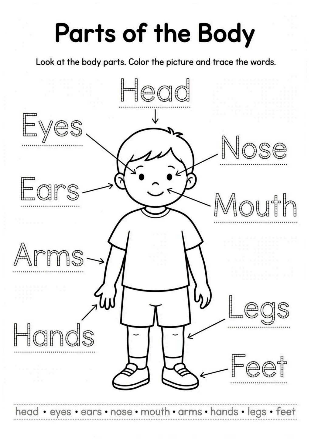 Parts of the Body