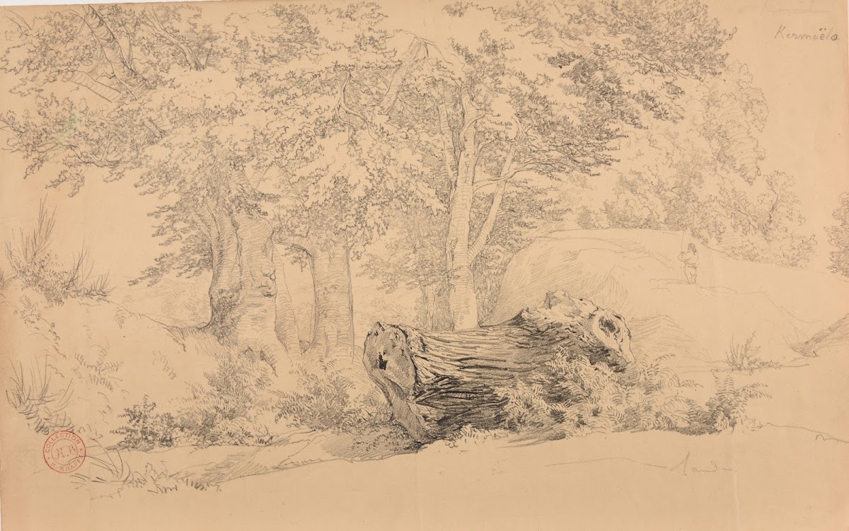 Bois à Kermoëlo ca 1851