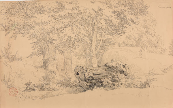 Bois à Kermoëlo ca 1851