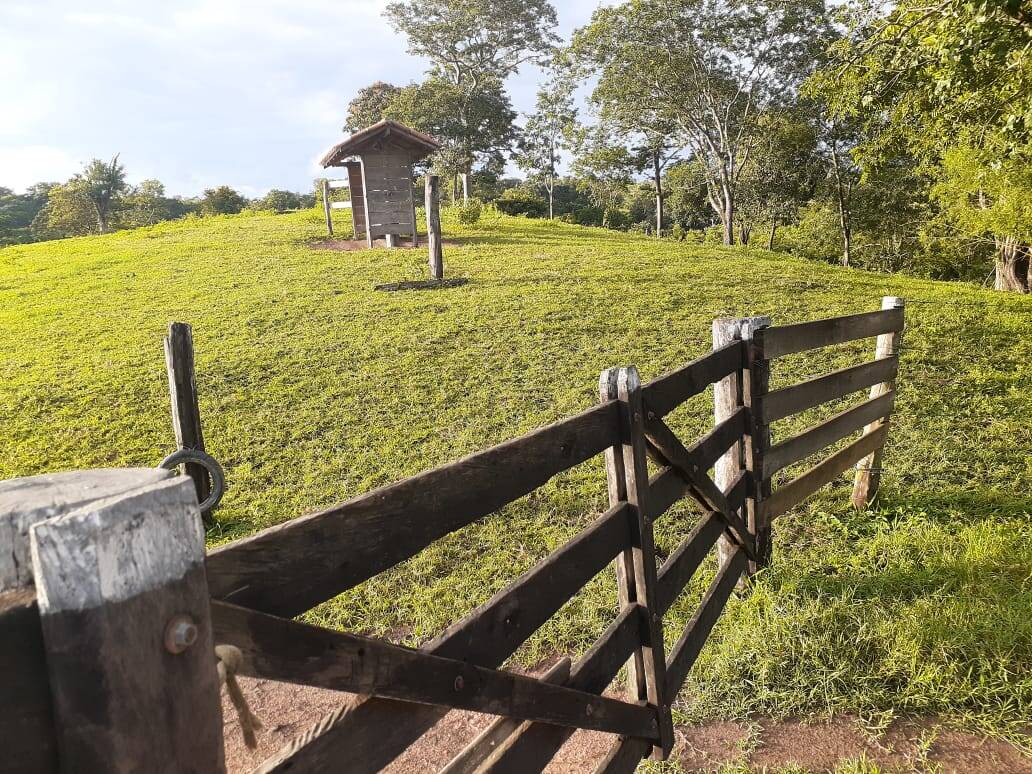 Fazenda no Município de Padre Bernardo - GO 6