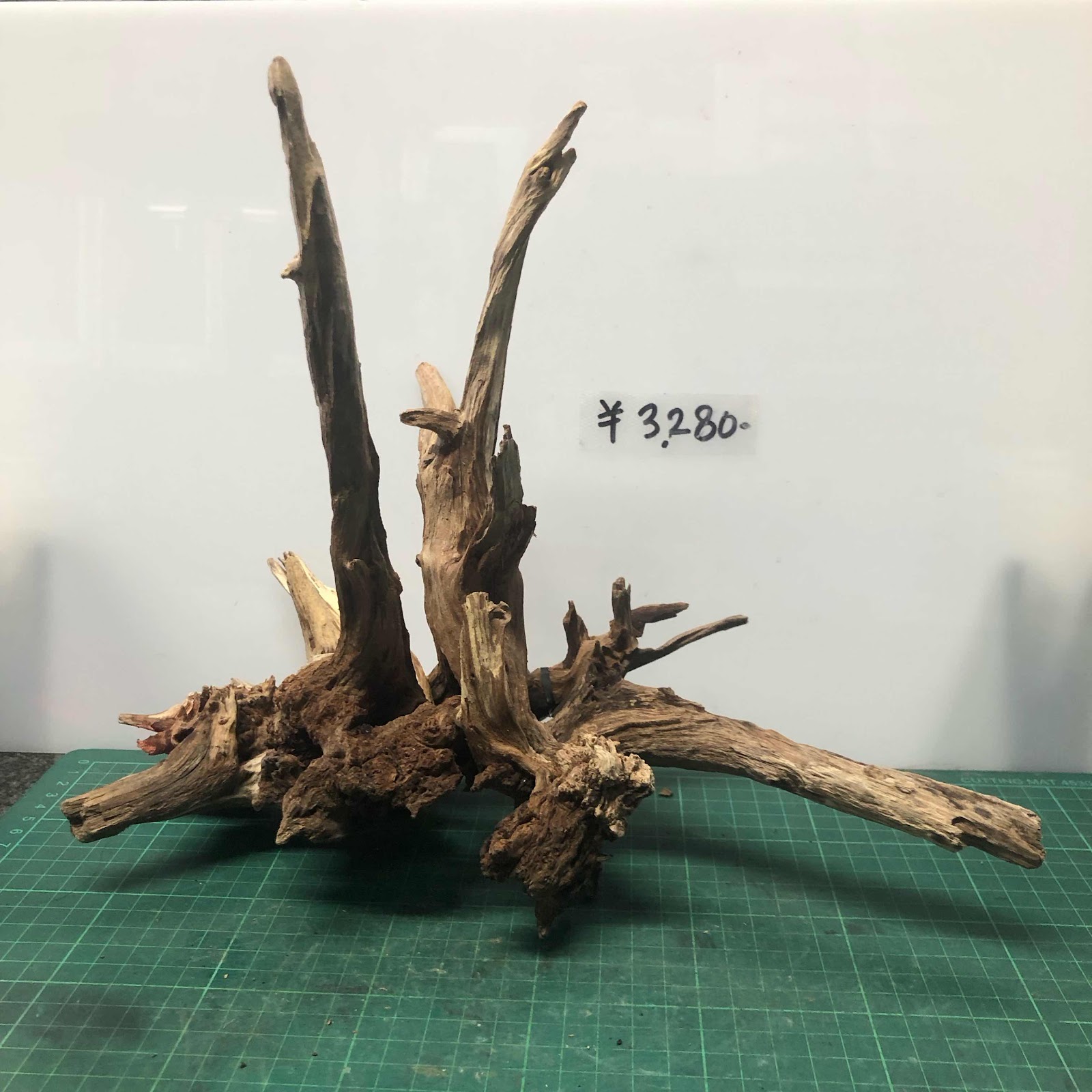 流木 淡水域採取 120本以上あり （新品】沈水大型流木☆120cm