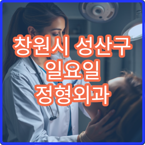 창원시 성산구 일요일 정형외과 진료 병원 허리통증 치료 가능