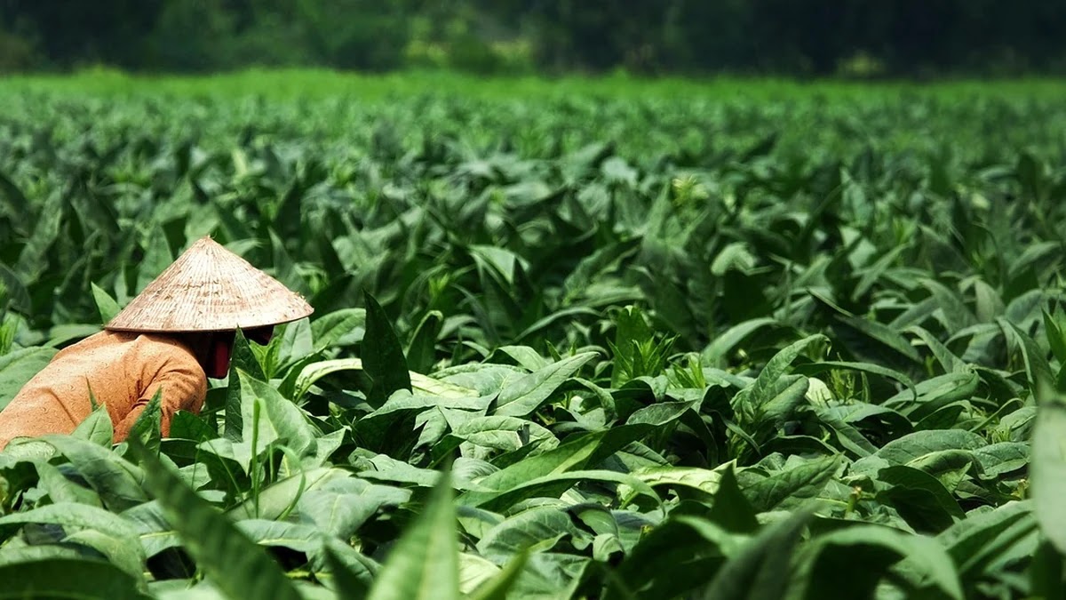국내 리조트 환불 정책과 추가 비용 발생 조건 완전 정리