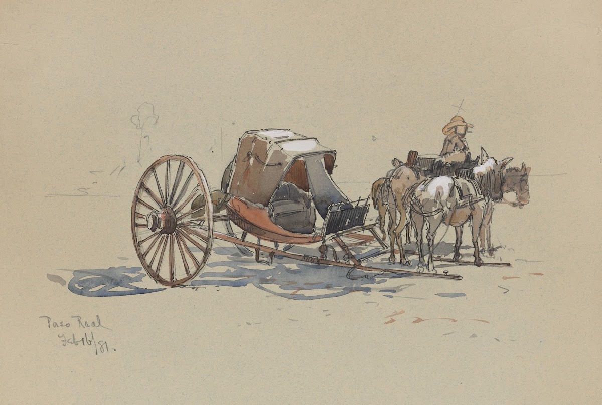 Paso Real A two wheeled chaise 1881