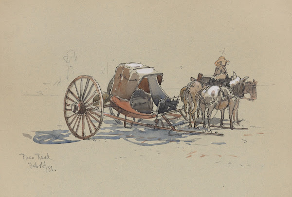 Paso Real A two wheeled chaise 1881