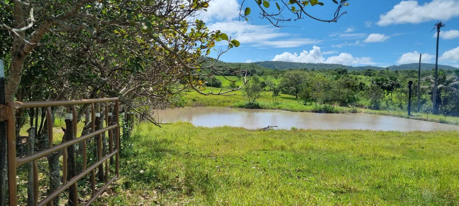 Chácara em Jaraguá-GO 6