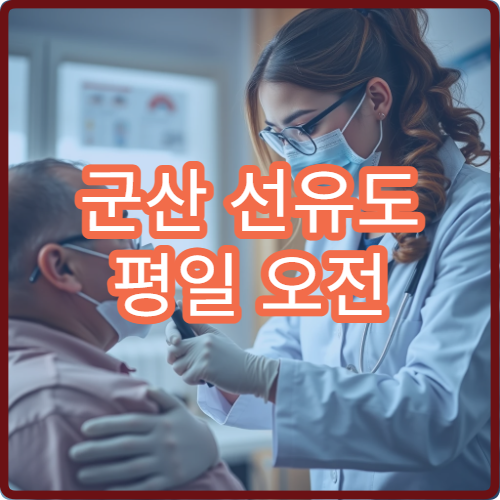 군산 선유도 평일 오전 혼잡 완벽 피하는 방문 시간대 가이드