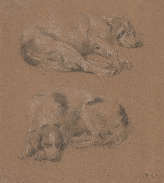Studies of Dogs lying down