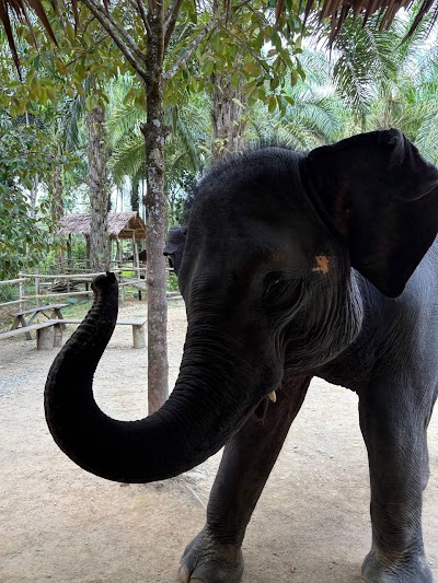Приватный · KHAOLAK SAFARI (1-DAY TRIP) photo 1