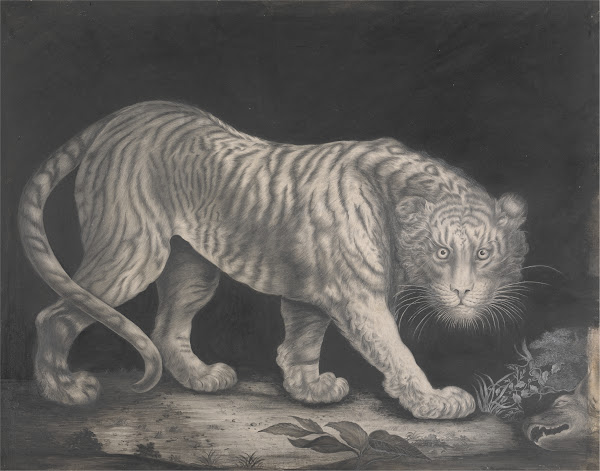 A Prowling Tiger ca 1800