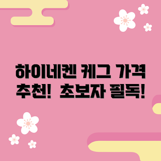 하이네켄케그 가격, 하이네켄케그 구매 방법, 하이네켄케그 추천, 하이네켄케그 가격은 얼마인가, 하이네켄케그 사용법