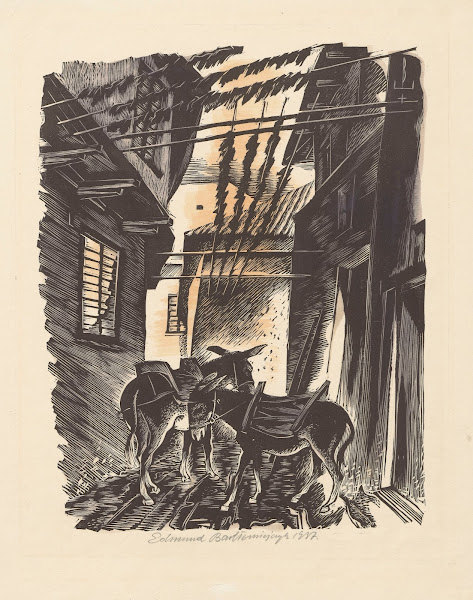 Osły Tirnowo w Bułgarii 1937