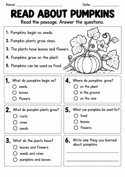 Pumpkin Simple Reading Worksheet