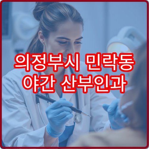 의정부시 민락동 야간 산부인과 하복부 통증 진료 병원 정보