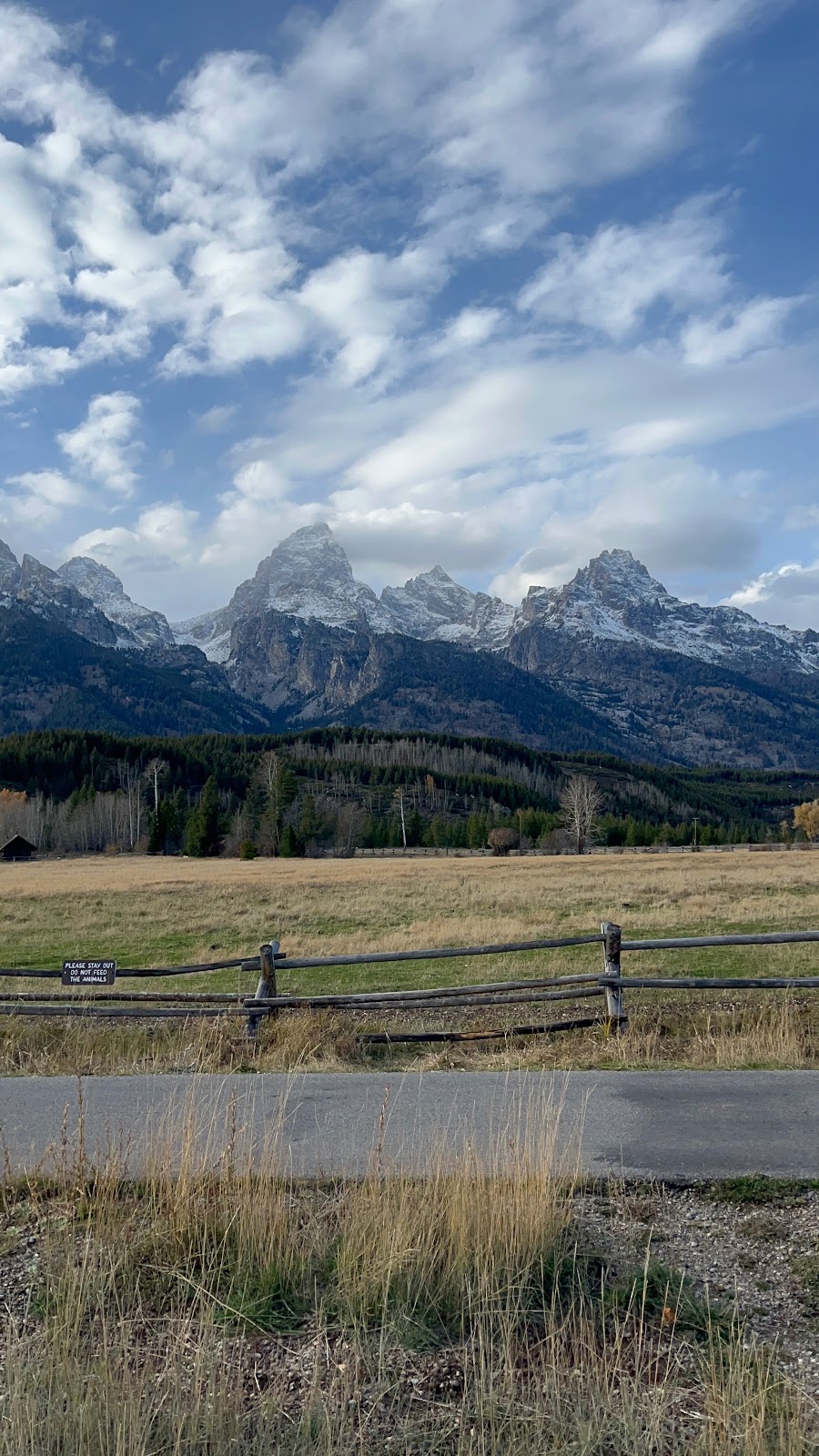 Tessa McGuire at Zion National Park — Bonaventure partnerships director