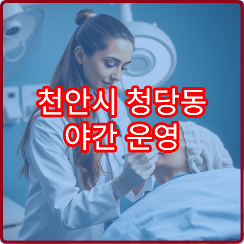 천안시 청당동 야간 운영 이비인후과 의료기관 정리