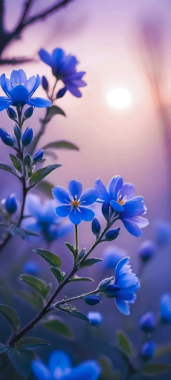 Blue Flowers Picture