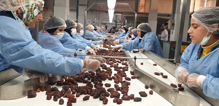 SANAM Engineering Industries — food processing and material handling project 30