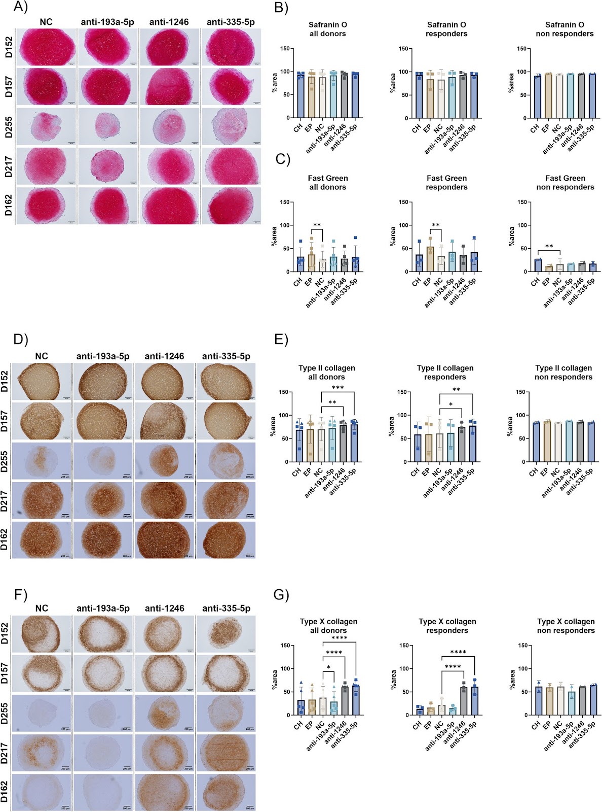 Donor-dependent regulation of type II and X collagen deposition by early modulation of miR-335-5p and miR-1246 during chondrogenic commitment