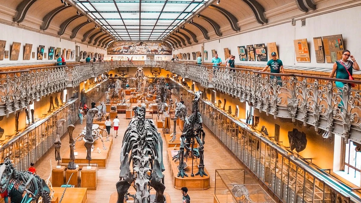 과학이라는 개념이 고대부터 현대까지 변화한 흐름