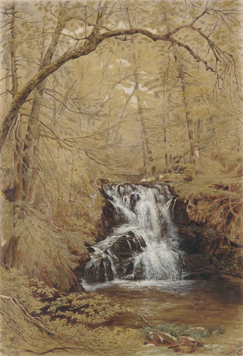 Indian Falls Indian Brook Cold Springs New York 1850