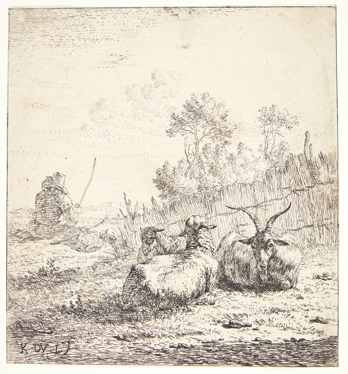 To får og en ged 1653