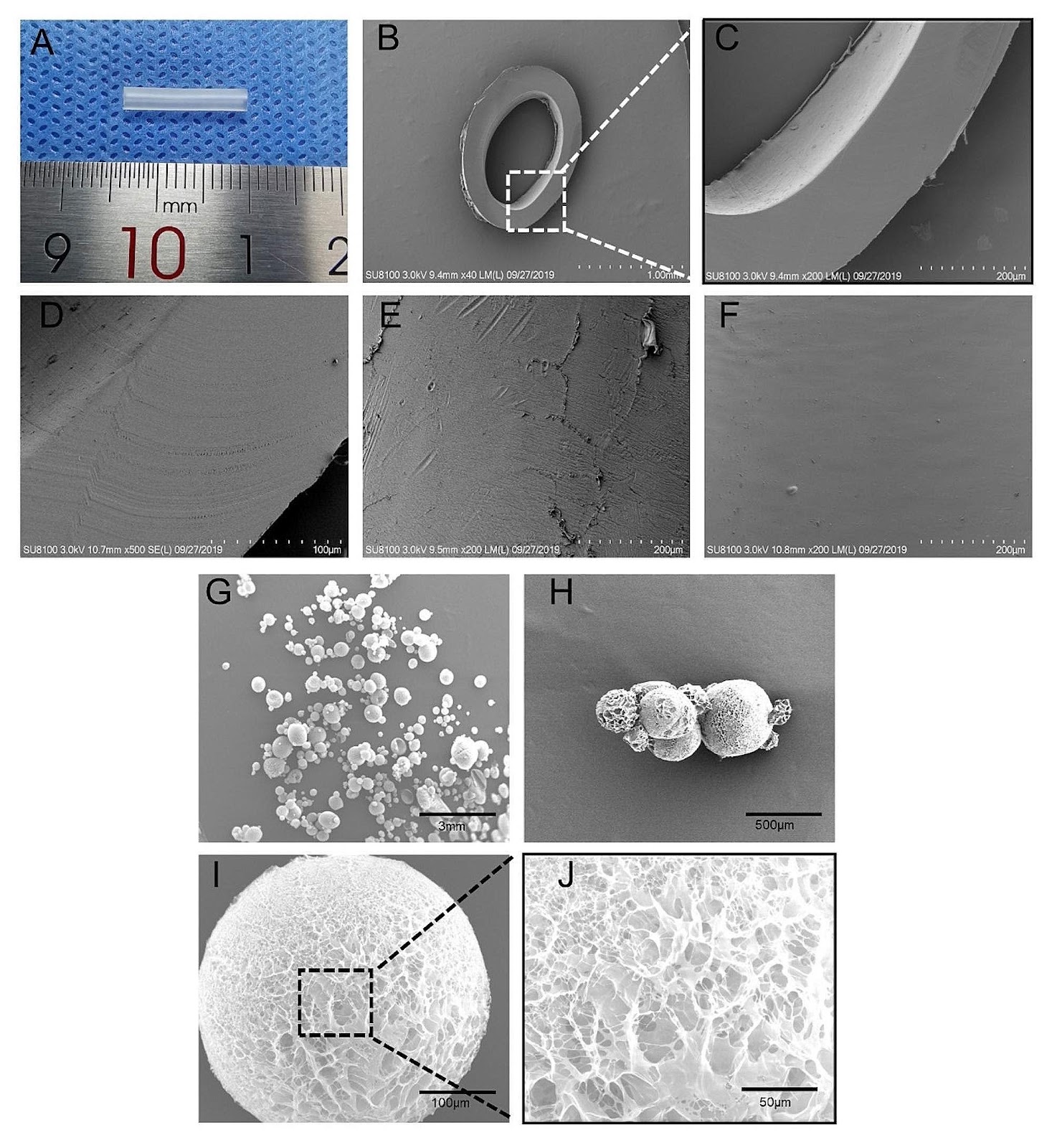 Harnessing three-dimensional porous chitosan microsphere embedded with adipose-derived stem cells to promote nerve regeneration