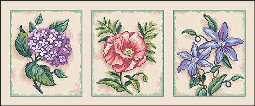 DIM35033 Floral Beauty Trio