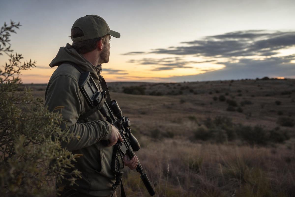 best times to call coyotes and stand setup