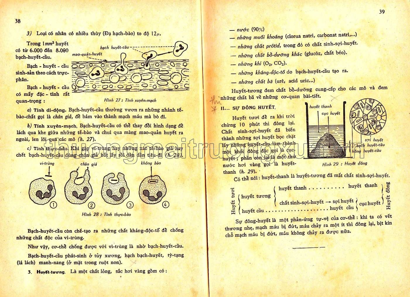 Vạn vật học lớp 9 (1971) - Trang 20