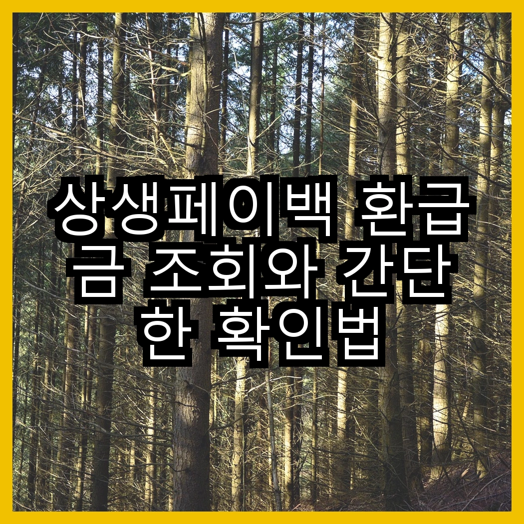 상생페이백 환급금 조회와 간단한 확인법 썸네일