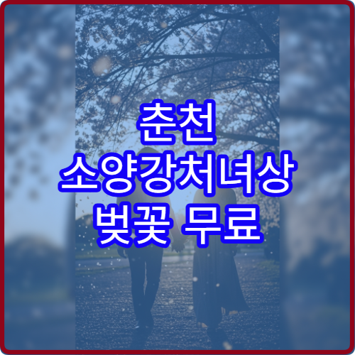 춘천 소양강처녀상 벚꽃 무료 야경 조명 시간대 안내