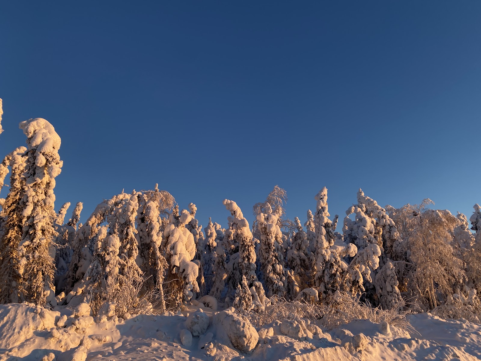 Arctic Circle