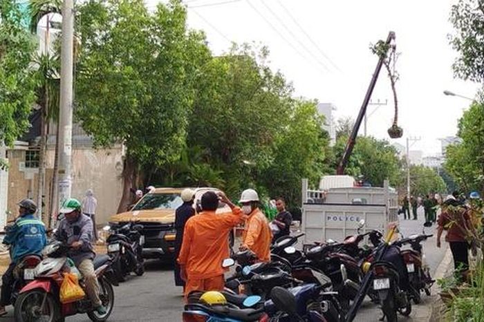 Vướng dây điện khi cẩu cây cảnh, tài xế thiệt mạng - Báo Người Lao Động