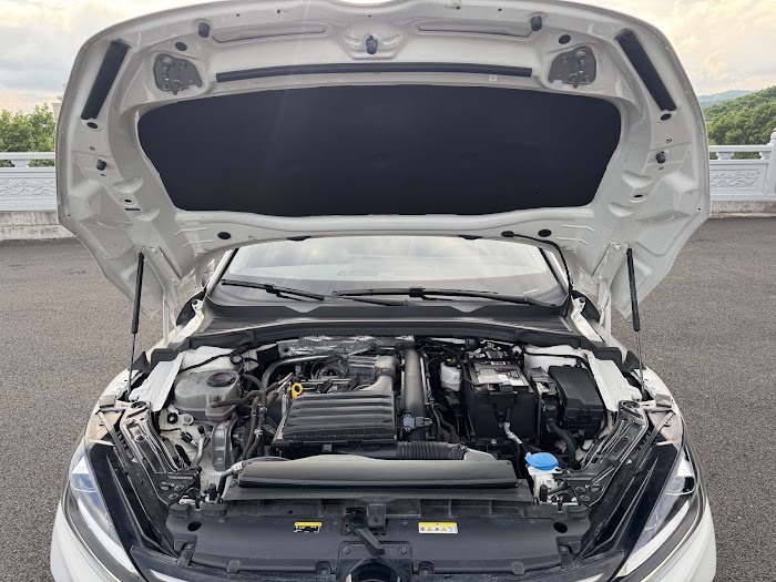 VOLKSWAGEN Lamando L